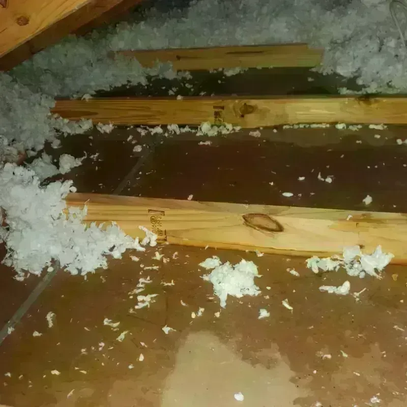 Attic Water Damage in Trinity, NC