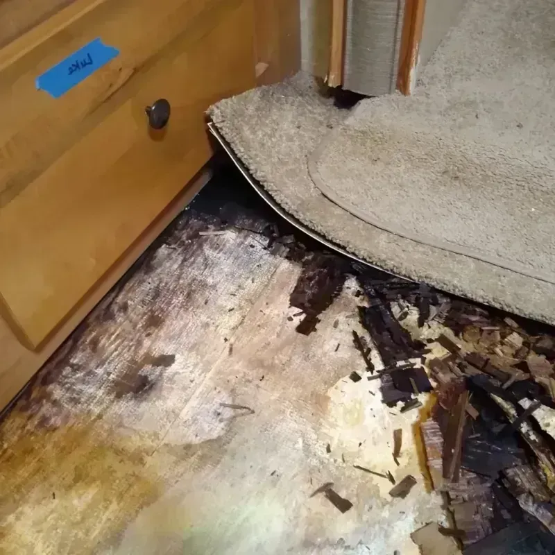 Wood Floor Water Damage in Trinity, NC